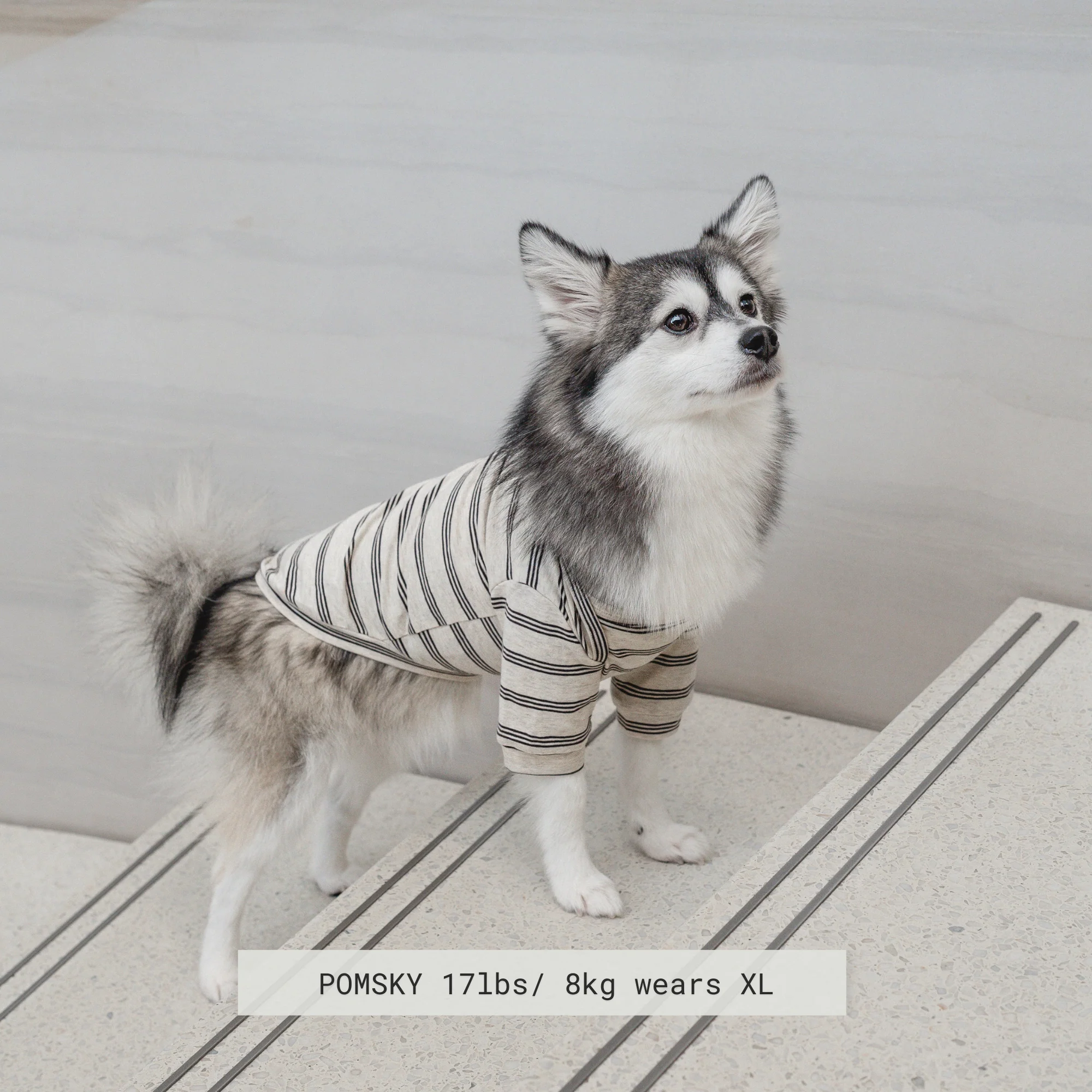 Chelsea Dog Tee - Earth - Image 3