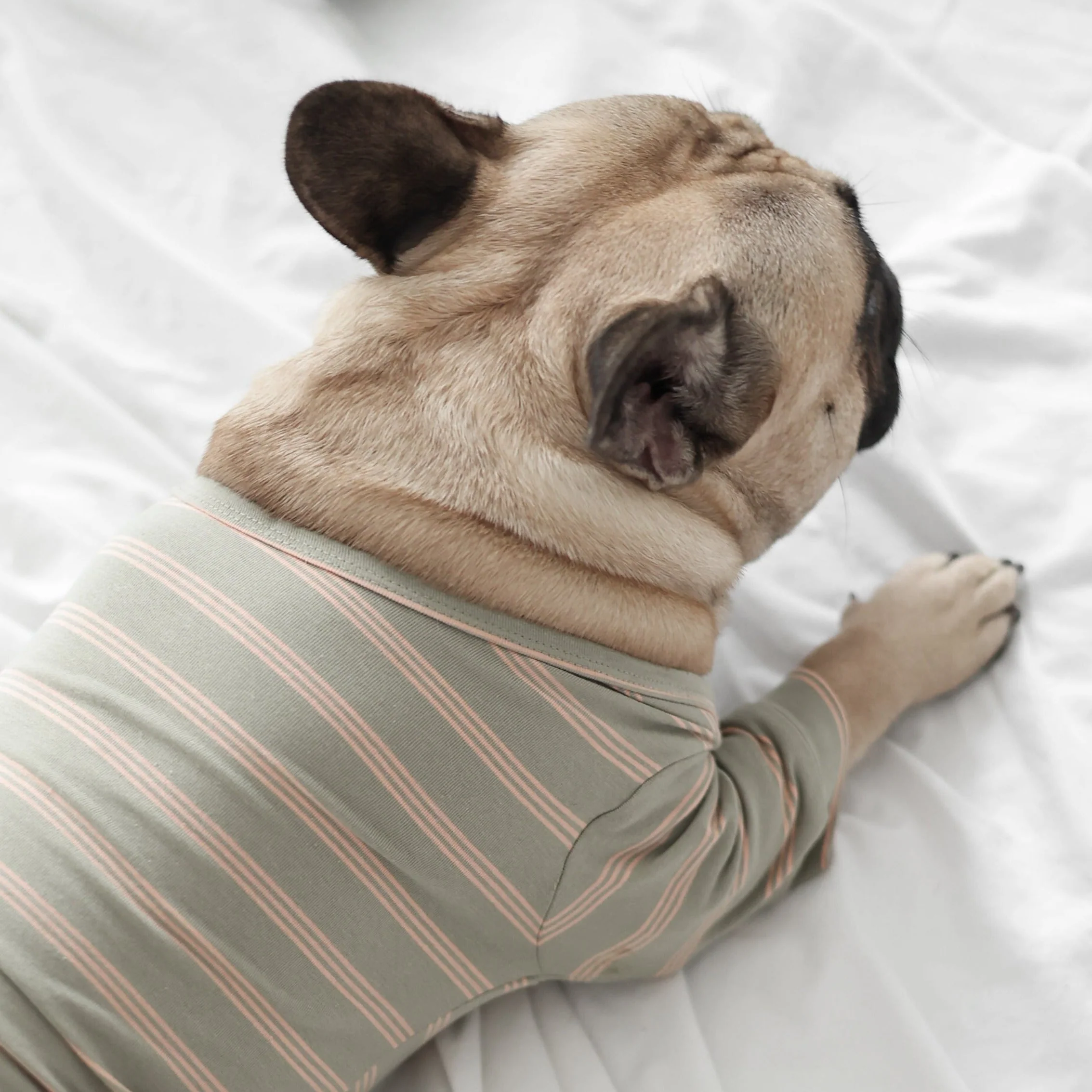Chelsea Dog Tee - Fern - Image 2