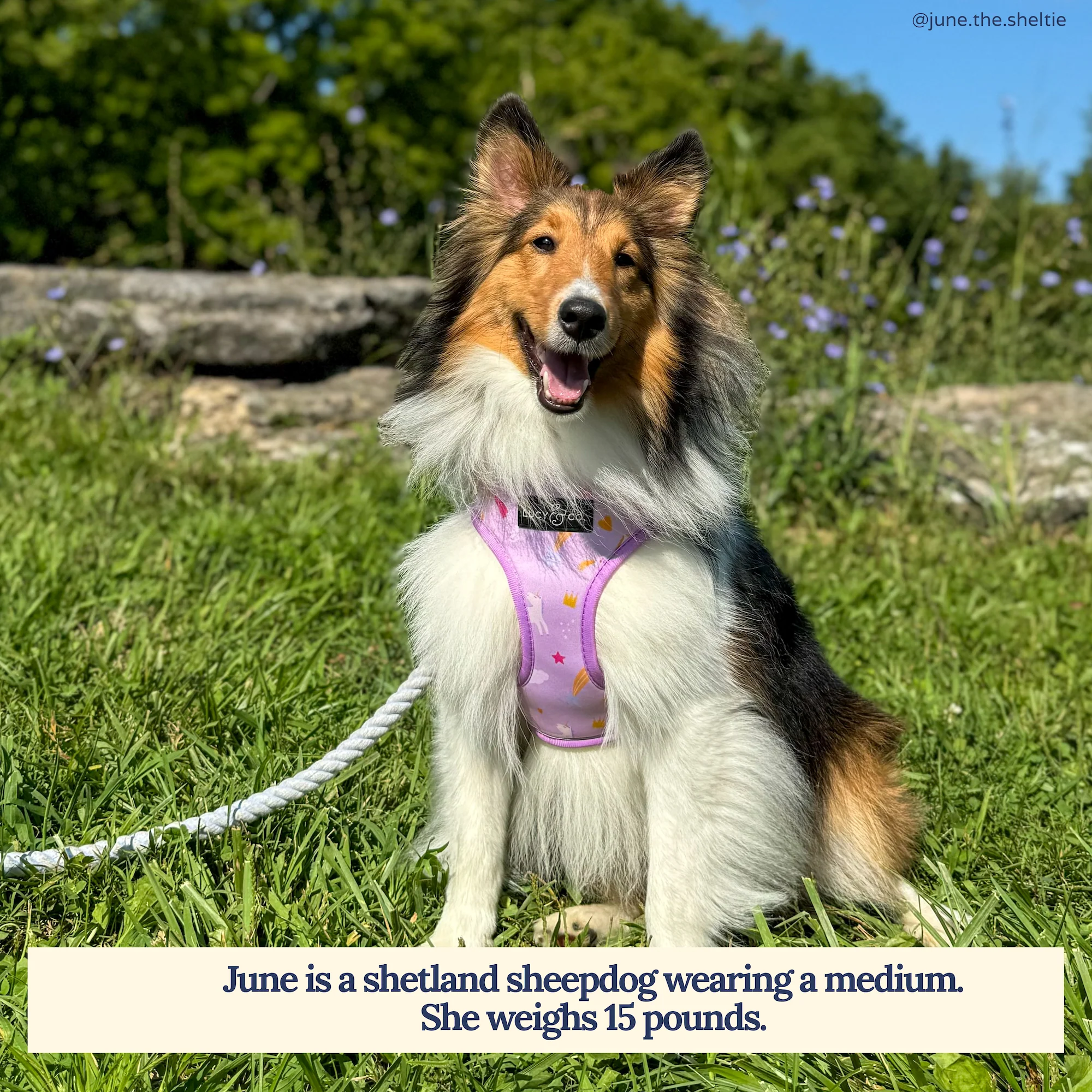 Making Magic Reversible Harness - Image 2