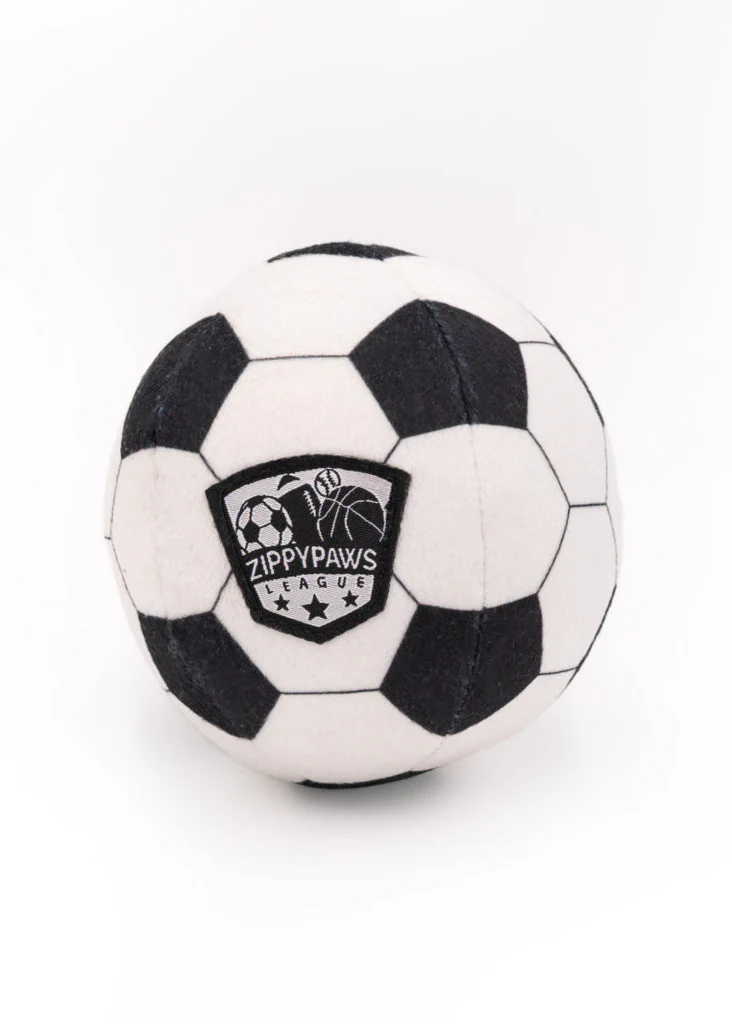 SportsBallz - Soccer