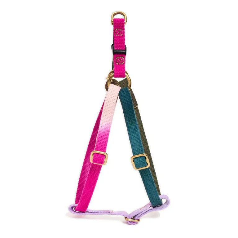 Webbing Dog Harness - Jolie